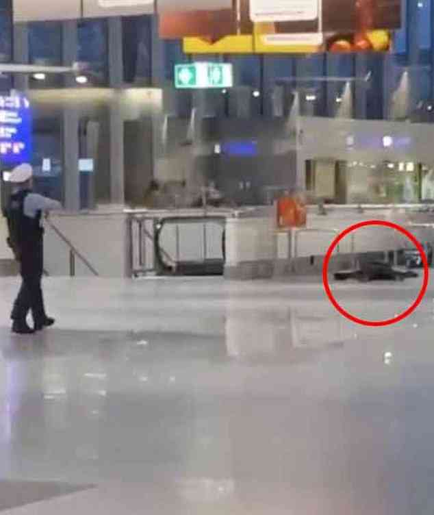 الشرطة الألمانية تطلق النار على مسلح