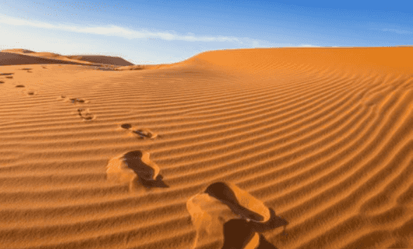 سرقوا خزنة المجوهرات والأموال وتخلصوا منها