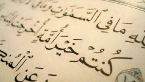 في ثقافة الإصرار على الخطأ والمجاهرة