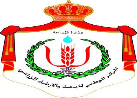 الشياب إلى التقاعد