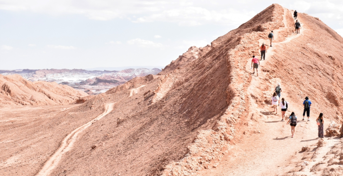 سموها “الذهب الأبيض”.. فضلات الطيور ساعدت