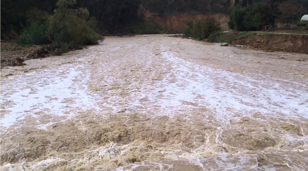 تخصيص 100 قاعة لاستقبال من تتضرر