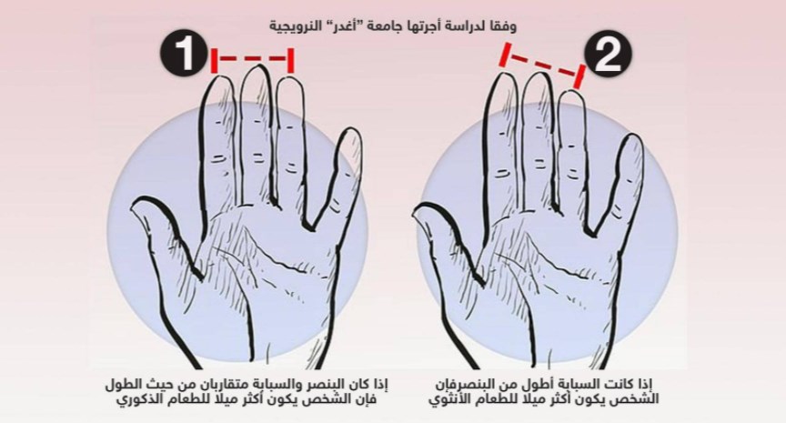 دراسة تكشف علاقة غريبة بين أصابع