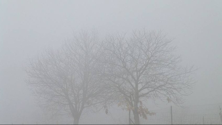 «ضباب كثيف» تشهده معظم مناطق المملكة..