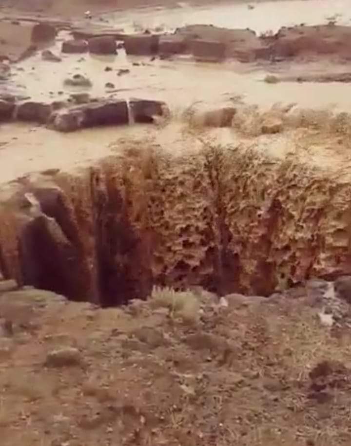 البروفيسور ملاعبة يكتب: رحلة ميلاد المناخ