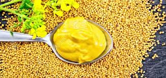 فوائد صحية جمة للأطعمة المرة