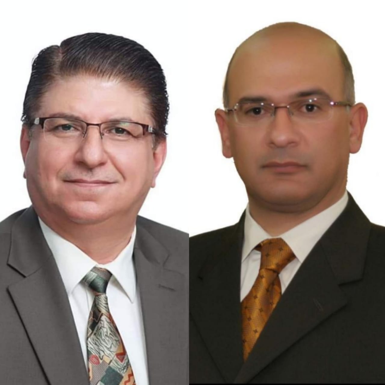 شركة الموانئ الصناعية تحقق في عام