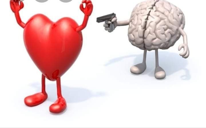 زعاترة تكتب: الحب بين العقل والقلب