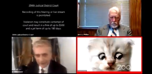 لست قطة.. محام في موقف محرج