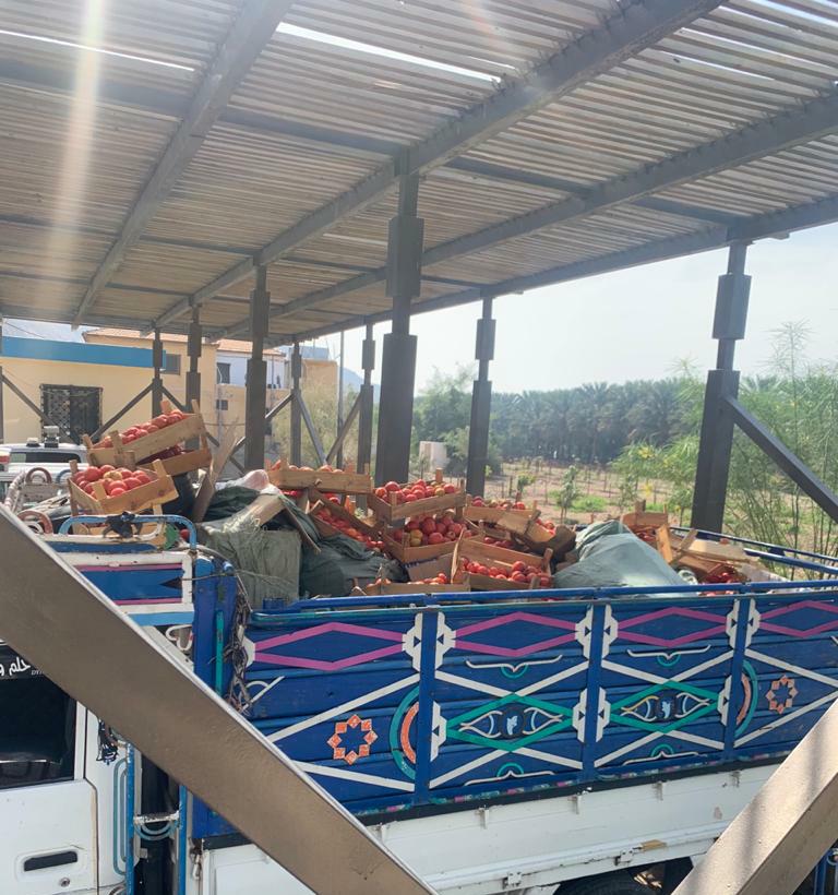 الجمارك: هذا ما تم ضبطه تحت