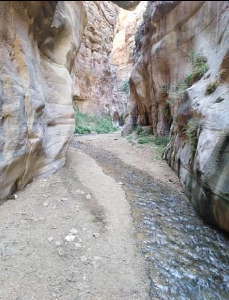 العثور على سياح بعد فقدانهم في