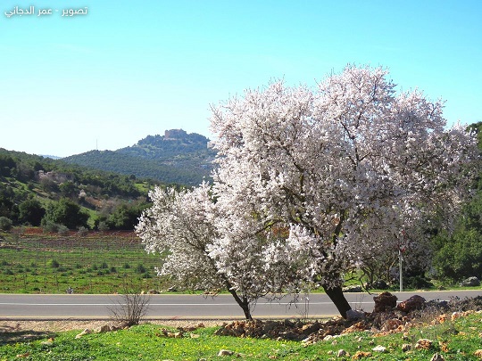 10 صور مدهشة .. كيف بدا