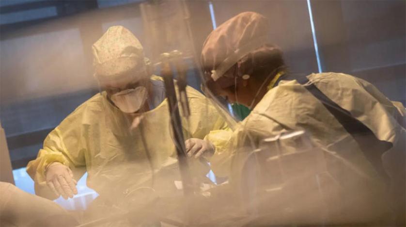 باحثون ينشرون حقائق خطيرة عن سلالة