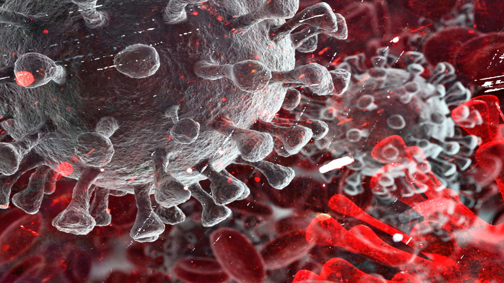 الخرابشة: الأردن قد يكون في بداية