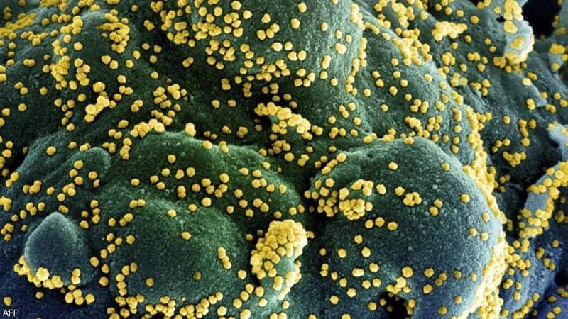 منشأ كورونا.. محور خلاف جديد بين