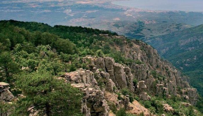 اصطحب زوجته لالتقاط سيلفي من أعلى