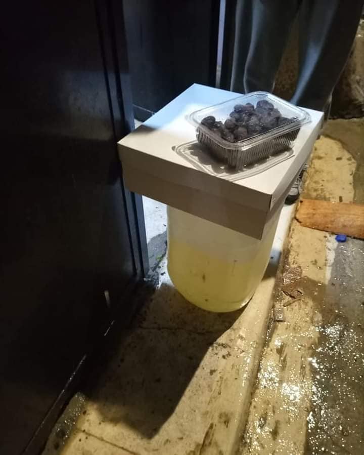 145 أسرة في الكورة استفادت من