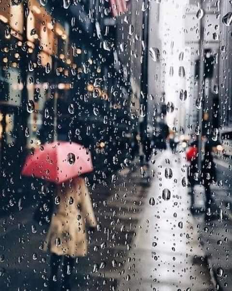 زعاترة تكتب: الضيف الشتوي