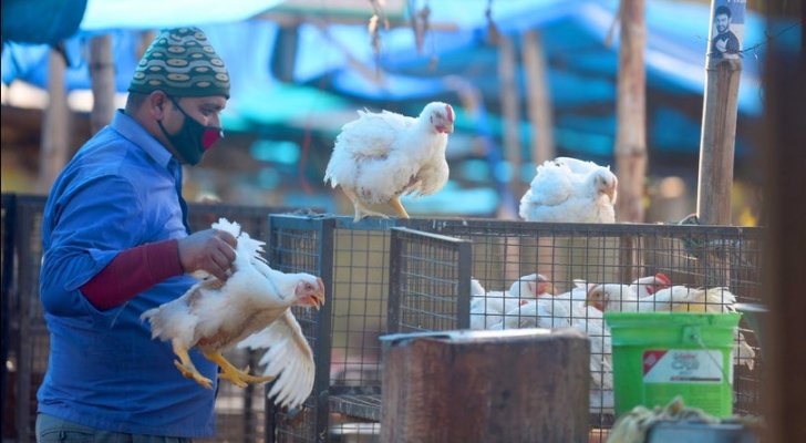 الصحة العالمية تحسم الأمر بشأن تفشي