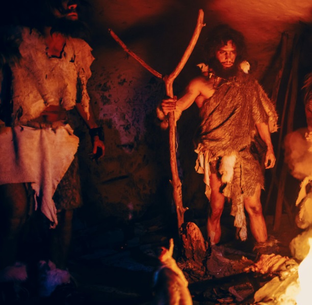 من بينها لحوم البشر.. تعرّف على