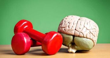 هل تزيد الرياضة من ذكائنا وقوة