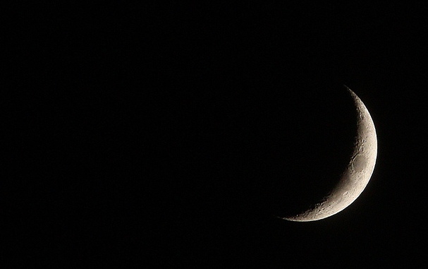 هل سيتمكن العالم الإسلامي من رؤية