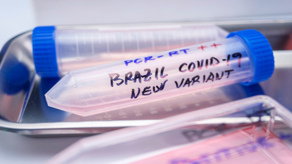 حجاوي: الأردن لم يكتشف حتى الآن