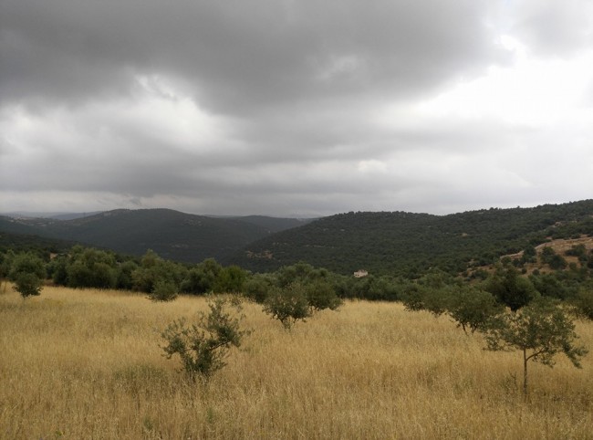 السبت.. طقس أبرد من المعتاد