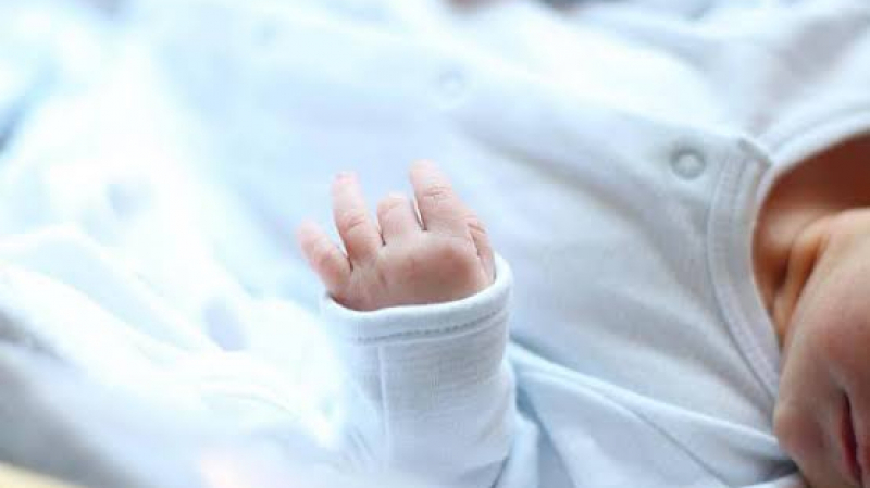 مراد شهوان.. مبارك المولود