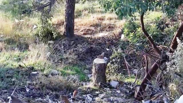 وزير الزراعة: سنخفض نسبة التعديات على