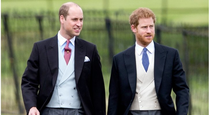 الأميرة ديانا تجمع شمل وليام وهاري