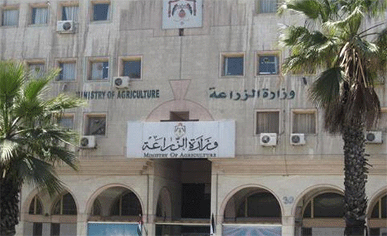 لجان من الزراعة لتحديد أضرار الرياح