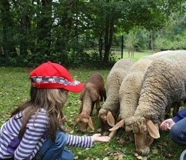 إذا كنت تشعر بالوحدة بسبب قيود