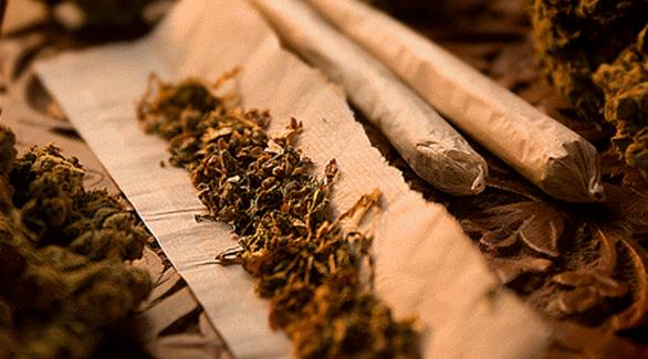 دبي: ضبط 42 كغم ماريغوانا بأكياس