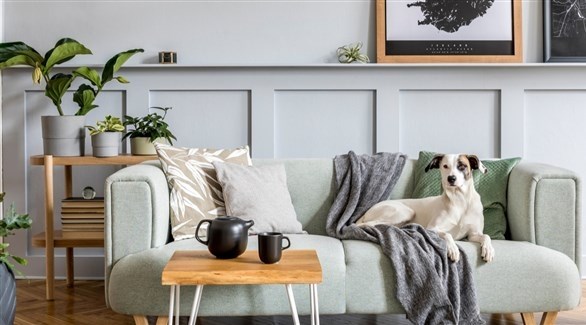 أشياء يجب تجنبها في غرفة المعيشة