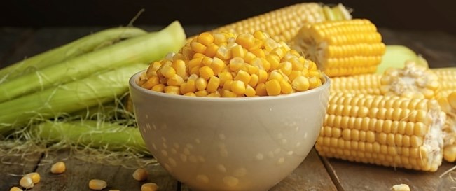 الزراعة ترفض إدخال 30 ألف طن