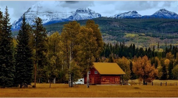 التكنولوجيا تساعد في تحقيق التشجير الذكي