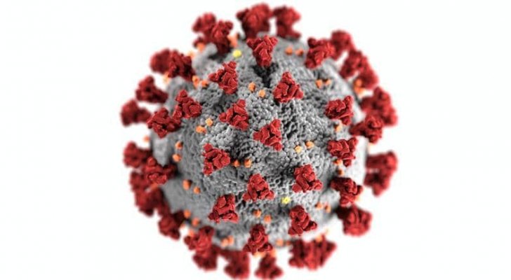 بعد المتحورة.. كورونا يطوّر سلالات هجينة