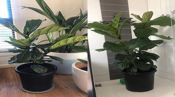 الجائحة تعزز السفر عبر الواقع الافتراضي