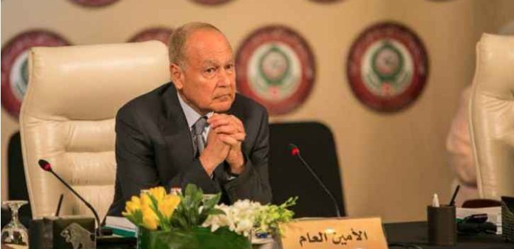 ابو الغيط: مع الأردن في صيانة