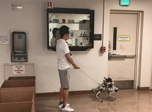 كلب روبوتي ثوري لمساعدة فاقدي البصر