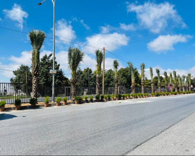 جامعة عمان الاهلية تنفذ حملة لزراعة