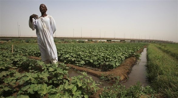 400 مليون دولار من الإمارات والسعودية