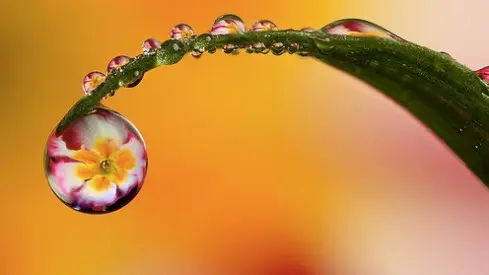 في افتقاد حياتنا وأشيائنا للجمال..