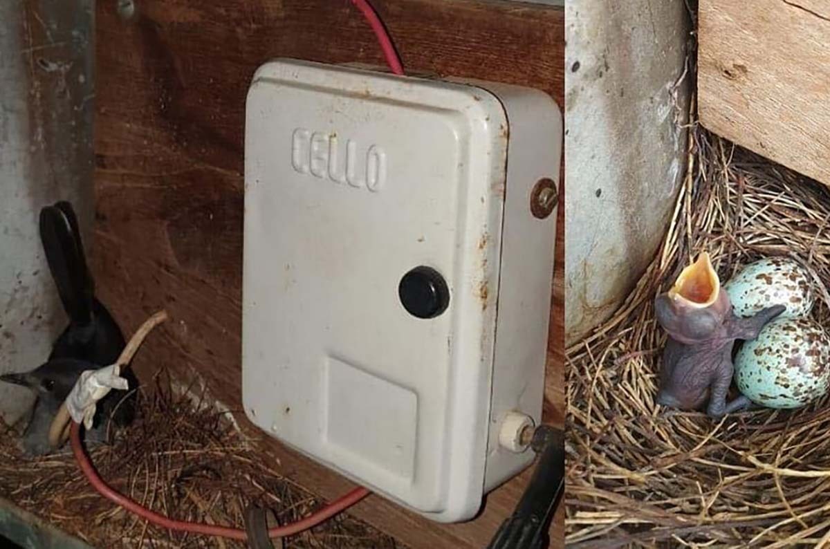 قرية هندية تعيش 45 يوما في