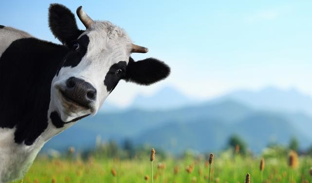 رجل اعمال كبير يجنّد وزيرين أسبقين