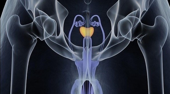 أداة على الإنترنت تحدد مخاطر الإصابة