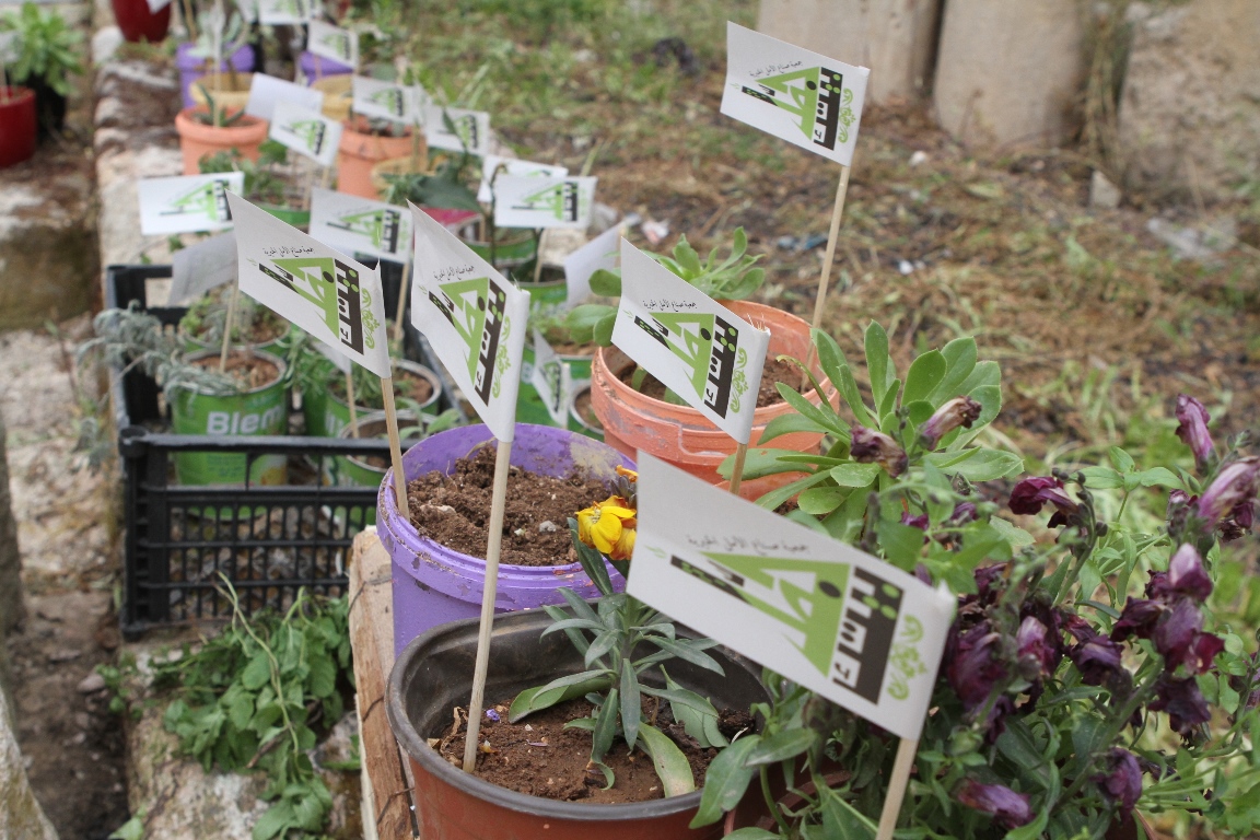 المبادرات التطوعية المختلفة تهدف الى الإستثمار