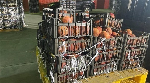 السعودية تحظر استيراد الفواكه والخضر من