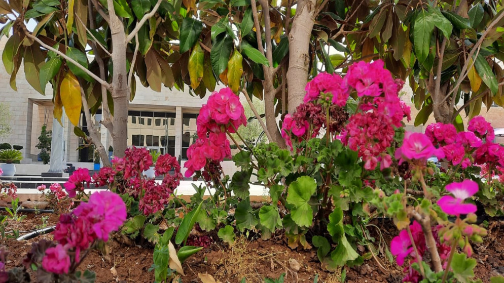 أجواء معتدلة الحرارة في معظم المناطق